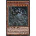 Dragon Orage Ténébreux (C) [SR02]