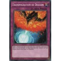 Transmigration de Dragon (C) [SR02]