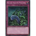 Nid des Insectes Piquants (C) [SR02]