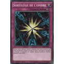 Sortilège de l'Ombre (C) [LDK2]