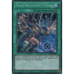 Magie Brûlante des Ténèbres (STR) [LDK2]
