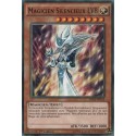 Magicien Silencieux LV8 (C) [LDK2]
