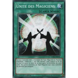 Unité des Magiciens (C) [LDK2]