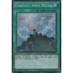 Contact Ange Déchu (STR) [DESO]