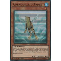 Grenouille D'arbre (rainette) (UR) [DUSA]