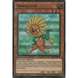 Dandelion (UR) [DUSA]