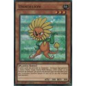 Dandelion (UR) [DUSA]