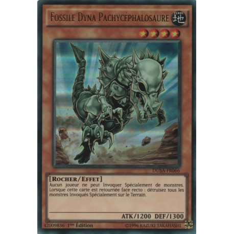 Fossile Dyna Pachycéphalosaure (UR) [DUSA]