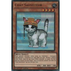 Chat Sauveteur (UR) [DUSA]