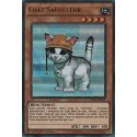 Chat Sauveteur (UR) [DUSA]