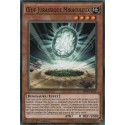Oeuf Jurassique Miraculeux (C) [SR04]