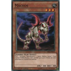 Mâchos (C) [SR04]