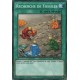 Recherche de Fossiles (C) [SR04]