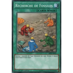 Recherche de Fossiles (C) [SR04]