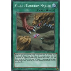 Pilule d'Évolution Majeure (C) [SR04]