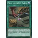 Pilule d'Évolution Majeure (C) [SR04]