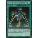 Epées de Ravissement de la Lumière (C) [SR04]