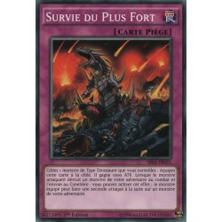 Survie du Plus Fort (C) [SR04]