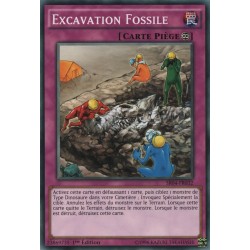 Excavation Fossile (C) [SR04]