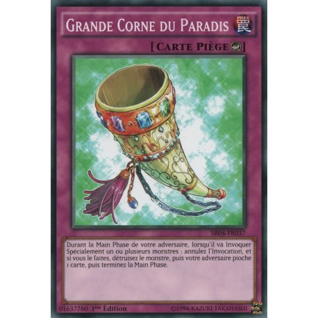 Grande Corne du Paradis (C) [SR04]