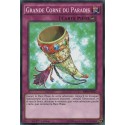 Grande Corne du Paradis (C) [SR04]