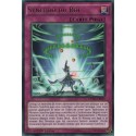 Synchro du Roi (R) [DPDG]