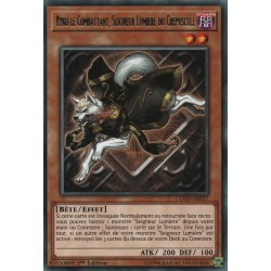 Ryko le Combattant, Seigneur Lumière du Crépuscule (R) [COTD]