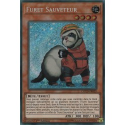 Furet Sauveteur (STR) [COTD]