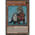 Furet Sauveteur (STR) [COTD]