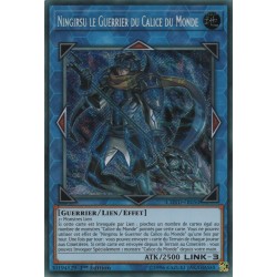 Ningirsu le Guerrier du Calice du Monde (STR) [COTD]