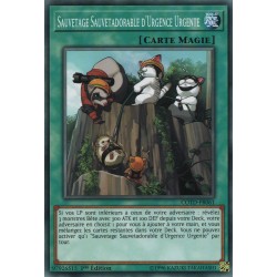 Sauvetage Sauvetadorable d'Urgence Urgente (C) [COTD]