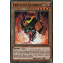 Crâne de Samouraï (C) [COTD]