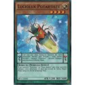 Luciolux Potartiste (C) [MP17]
