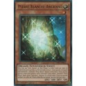 Pierre Blanche Ancienne (UR) [MP17]