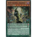 D/D Savant Thomas (R) [MP17]