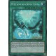 Métamorformation (SR) [MP17]