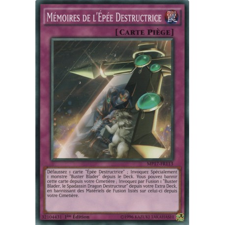 Mémoires de l'Épée Destructrice (C) [MP17]