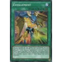 Éveillement (C) [MP17]