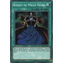 Rideau de Magie Noire (C) [LEDD]