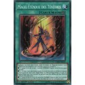 Magie Étendue des Ténèbres (C) [LEDD]