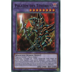 Paladin des Ténèbres (C) [LEDD]