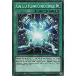 Aide à la Fusion Cybernétique (C) [LEDD]