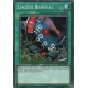 Limiter Removal (C) [LEDD]