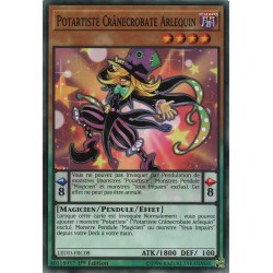 Potartiste Crânecrobate Arlequin (C) [LEDD]