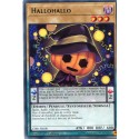 Hallohallo (R) [CIBR]