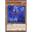 Ange des Ténèbres (C) [CIBR]