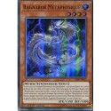 Ragnarok Métaphysique (SR) [CIBR]