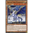 Dragon Tyran Métaphysique (R) [CIBR]