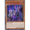 Exécuteur Métaphysique (SR) [CIBR]
