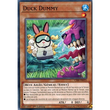 Duck Dummy (C) [CIBR]